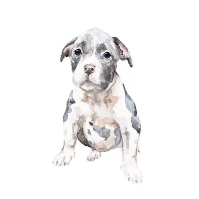 Pit Bull Puppy by Wandering Laur framed wall art