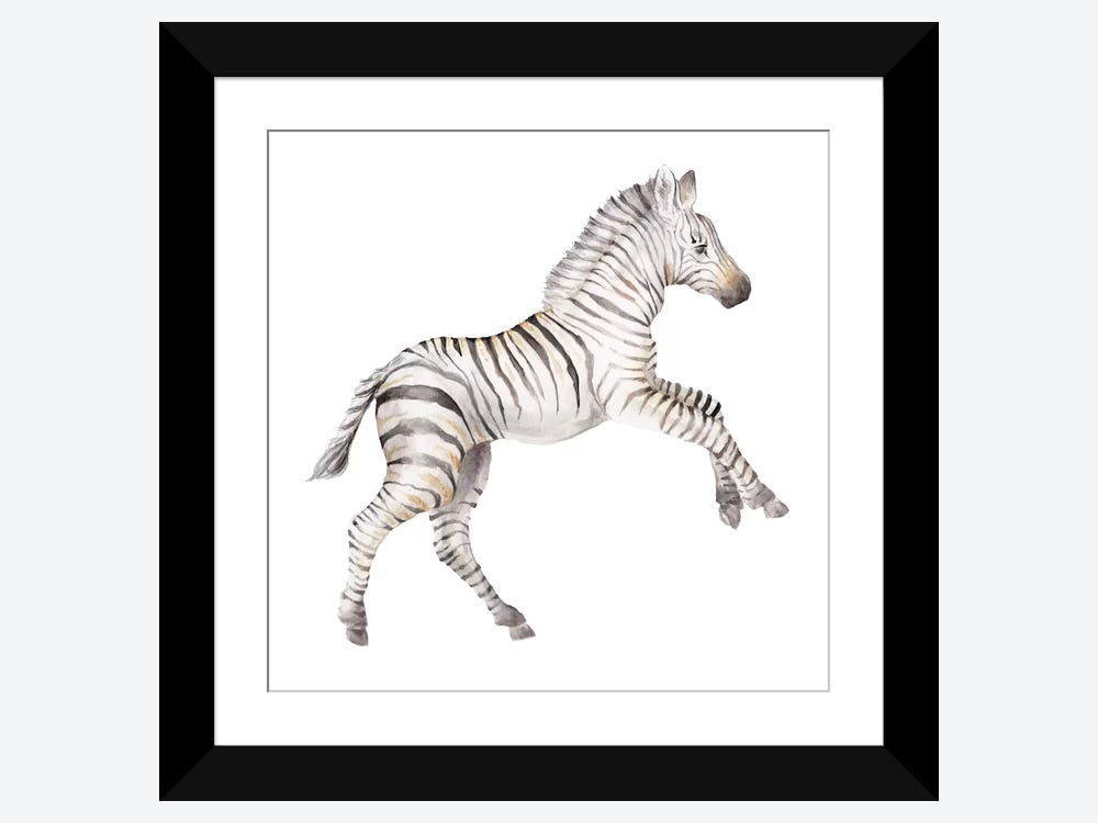 Newborn zebra colt with long skinny legs Wall Art, Canvas Prints