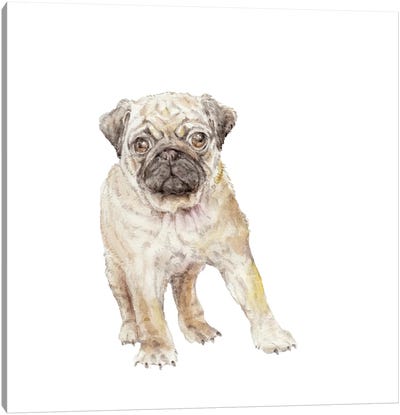 Pug Puppy Canvas Art Print - Art for Mom