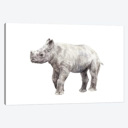 Rhinoceros Calf Canvas Print #RGF71} by Wandering Laur Art Print