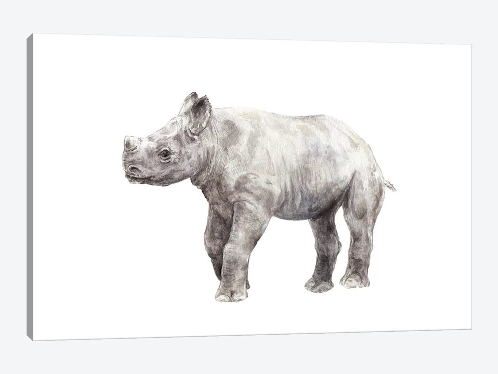 Rhinoceros Calf by Wandering Laur 1-piece Canvas Art Print
