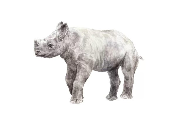 Wandering Laur: Rhinoceros Calf by Wandering Laur