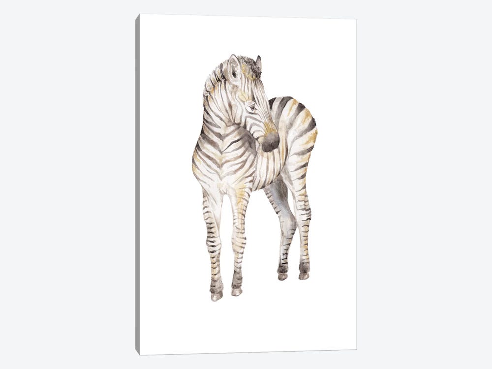 Shy Baby Zebra by Wandering Laur 1-piece Canvas Artwork
