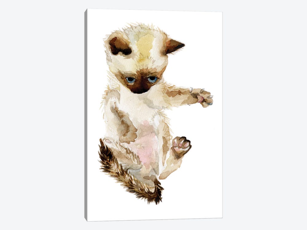 Siamese Kitten by Wandering Laur 1-piece Canvas Art Print