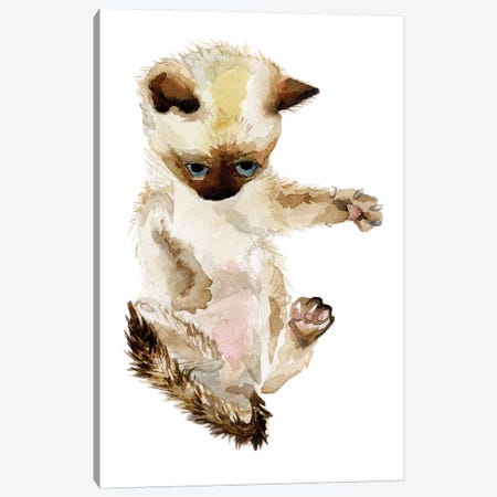Siamese Kitten Canvas Print #RGF77} by Wandering Laur Canvas Wall Art