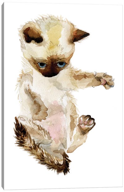 Siamese Kitten Canvas Art Print - Wandering Laur
