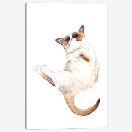 Silly Exotic Cat Canvas Print #RGF79} by Wandering Laur Art Print