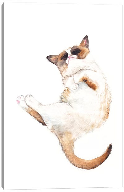 Silly Exotic Cat Canvas Art Print - Nursery Room Art