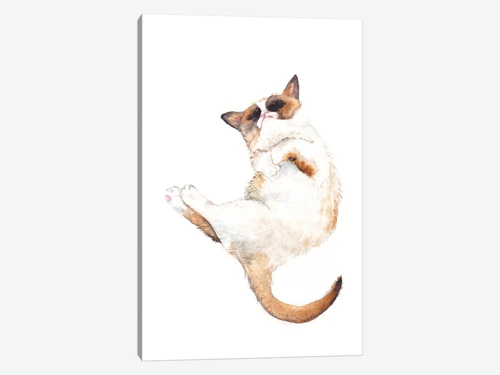 Silly Exotic Cat by Wandering Laur 1-piece Canvas Print