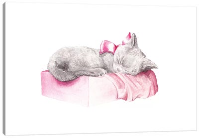 Sleepy Kitten Canvas Art Print - Kitten Art