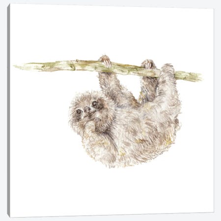Sloth Canvas Print #RGF83} by Wandering Laur Canvas Artwork