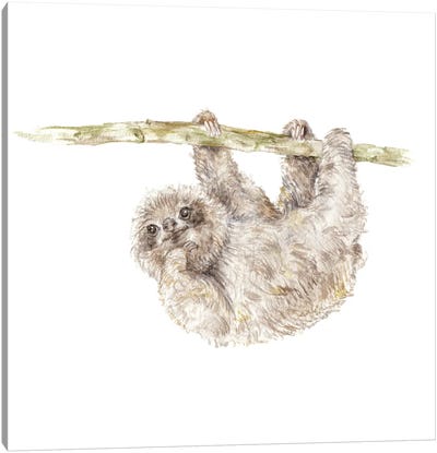 Sloth Canvas Art Print - Wandering Laur