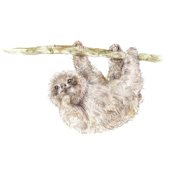 Wandering Laur: Sloth by Wandering Laur