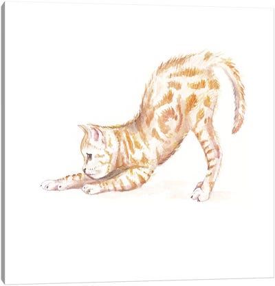 Stretching Ginger Cat Canvas Art Print - Orange Cat Art