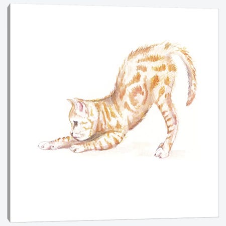 Stretching Ginger Cat Canvas Print #RGF86} by Wandering Laur Canvas Print