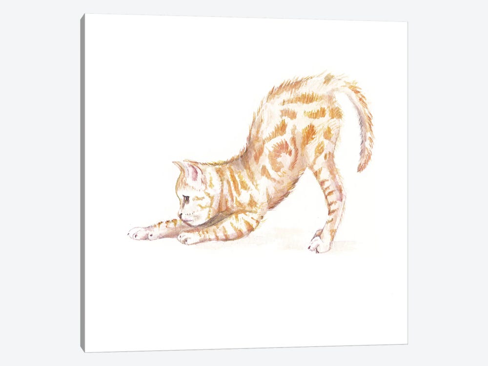 Stretching Ginger Cat by Wandering Laur 1-piece Canvas Print
