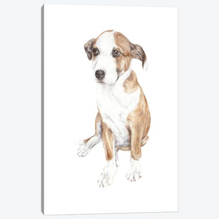 Sweet Puppy Dog Canvas Print #RGF87} by Wandering Laur Canvas Art Print