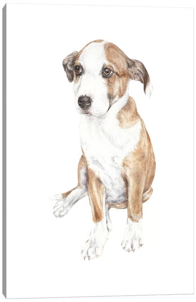 Sweet Puppy Dog Canvas Art Print - Wandering Laur