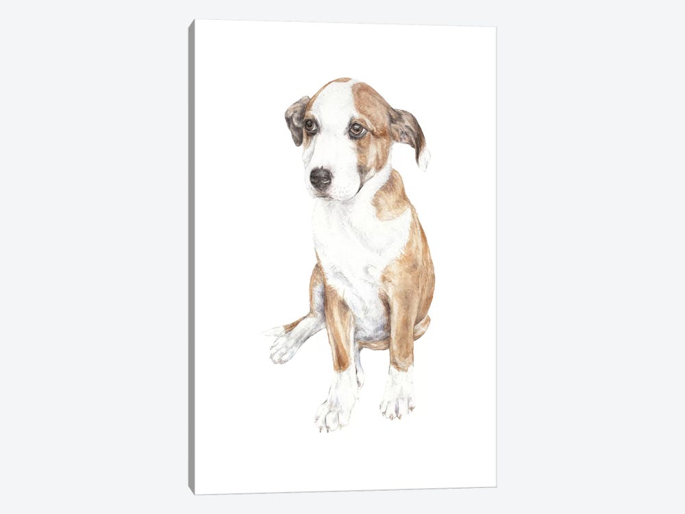 Sweet Puppy Dog by Wandering Laur 1-piece Canvas Artwork
