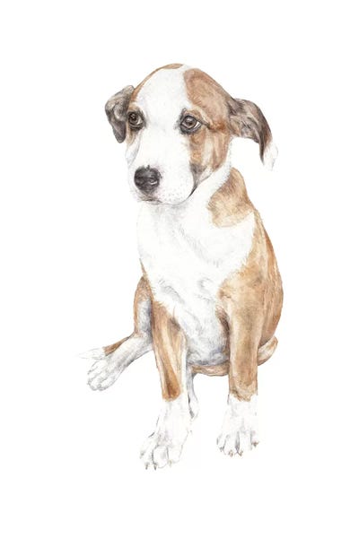 Puppies: Sweet Puppy Dog by Wandering Laur