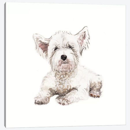 West Highland White Terrier Puppy Canvas Print #RGF92} by Wandering Laur Canvas Art Print