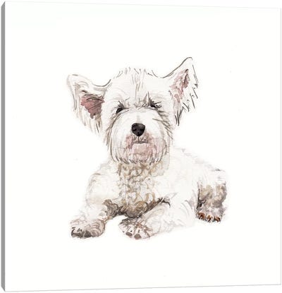 West Highland White Terrier Puppy Canvas Art Print - Wandering Laur
