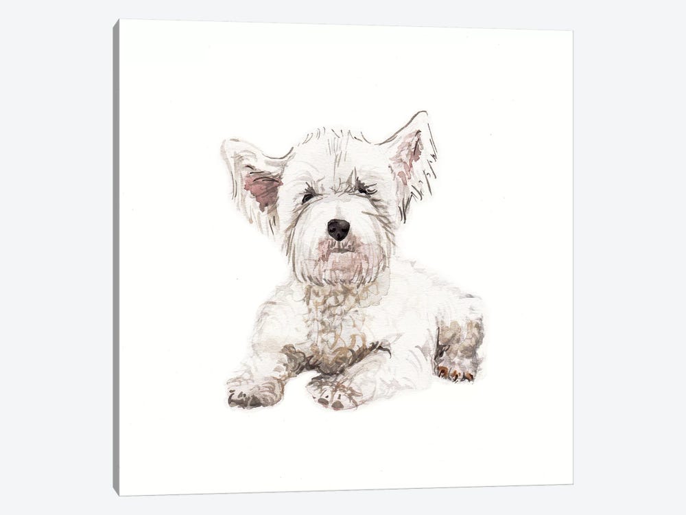 West Highland White Terrier Puppy by Wandering Laur 1-piece Canvas Wall Art
