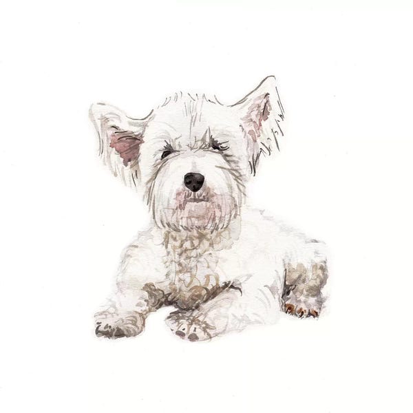 Wandering Laur: West Highland White Terrier Puppy by Wandering Laur