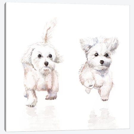 White Running Pups Canvas Print #RGF93} by Wandering Laur Art Print