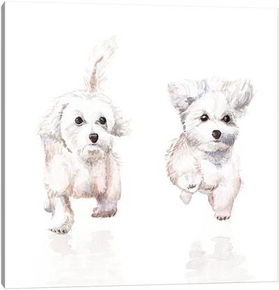 White Running Pups Canvas Art Print - Wandering Laur
