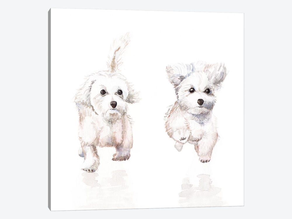 White Running Pups by Wandering Laur 1-piece Canvas Art Print