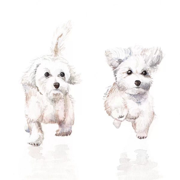Wandering Laur: White Running Pups by Wandering Laur