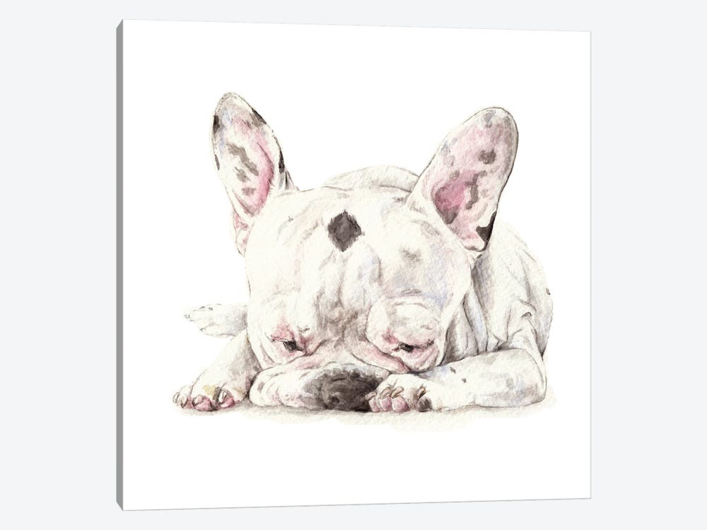 Spotted French Bulldog by Wandering Laur 1-piece Canvas Art