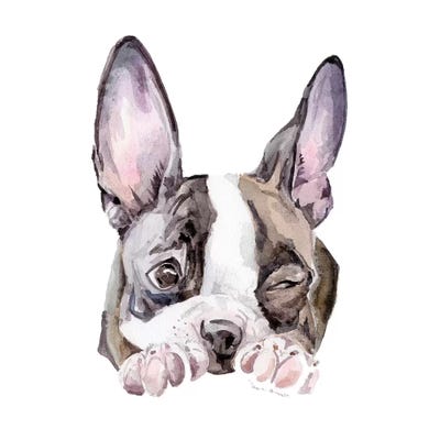 Winking Boston Terrier by Wandering Laur framed wall art