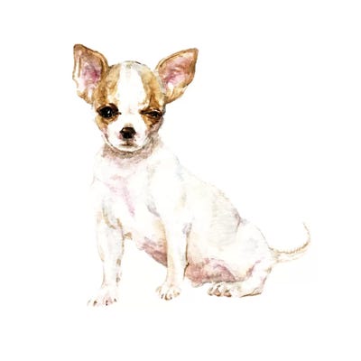 Winking White Chihuahua by Wandering Laur framed wall art