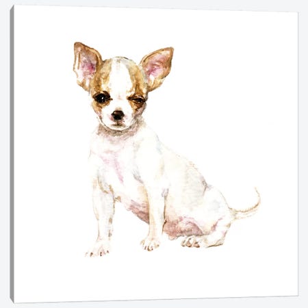 Winking White Chihuahua Canvas Print #RGF96} by Wandering Laur Canvas Art