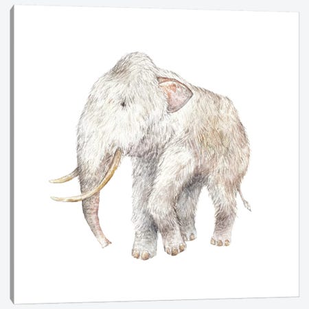 Woolly Mammoth Canvas Print #RGF97} by Wandering Laur Canvas Artwork