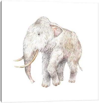 Woolly Mammoth Canvas Art Print - Mammoth Art