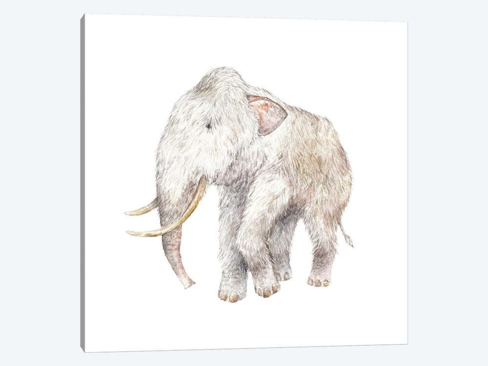 Woolly Mammoth by Wandering Laur 1-piece Canvas Art Print