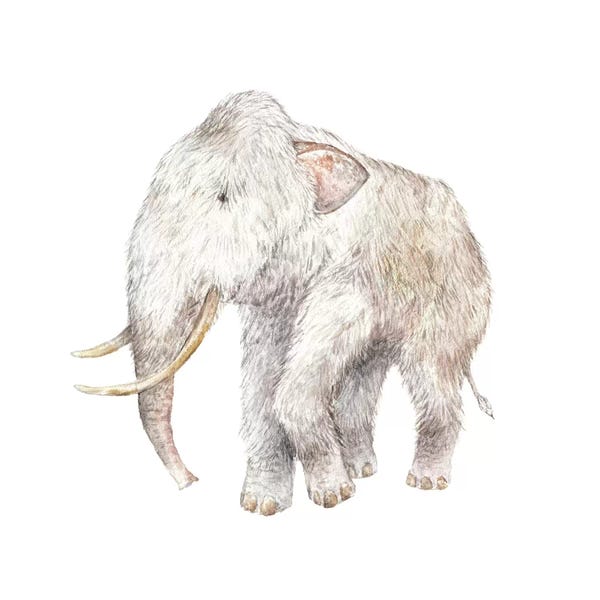 Wandering Laur: Woolly Mammoth by Wandering Laur