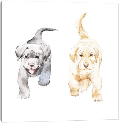 Yellow And Black Lab Puppies Canvas Art Print - Puppy Art