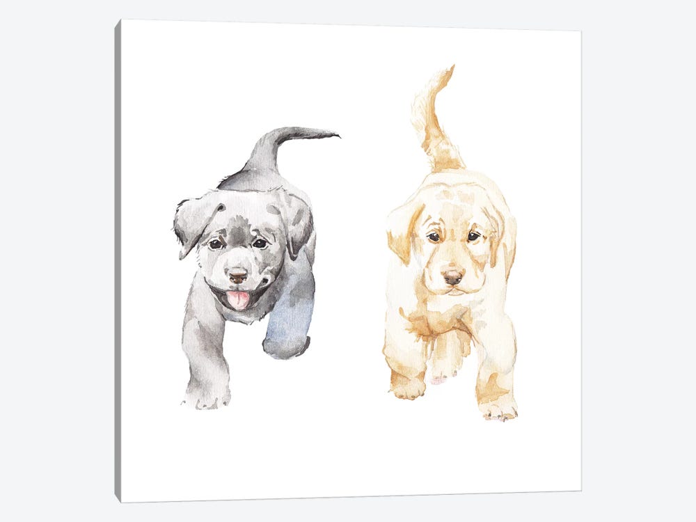 Yellow And Black Lab Puppies by Wandering Laur 1-piece Canvas Wall Art