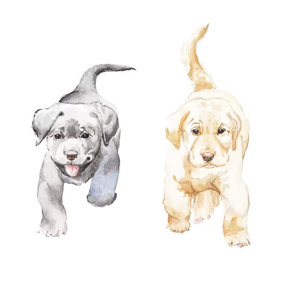 Puppies: Yellow And Black Lab Puppies by Wandering Laur