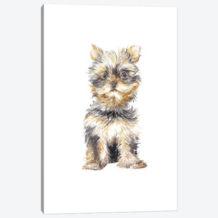 Yorkshire Terrier Canvas Print #RGF99} by Wandering Laur Canvas Print