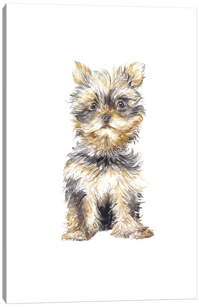 Yorkshire Terrier Canvas Art Print - Puppy Art