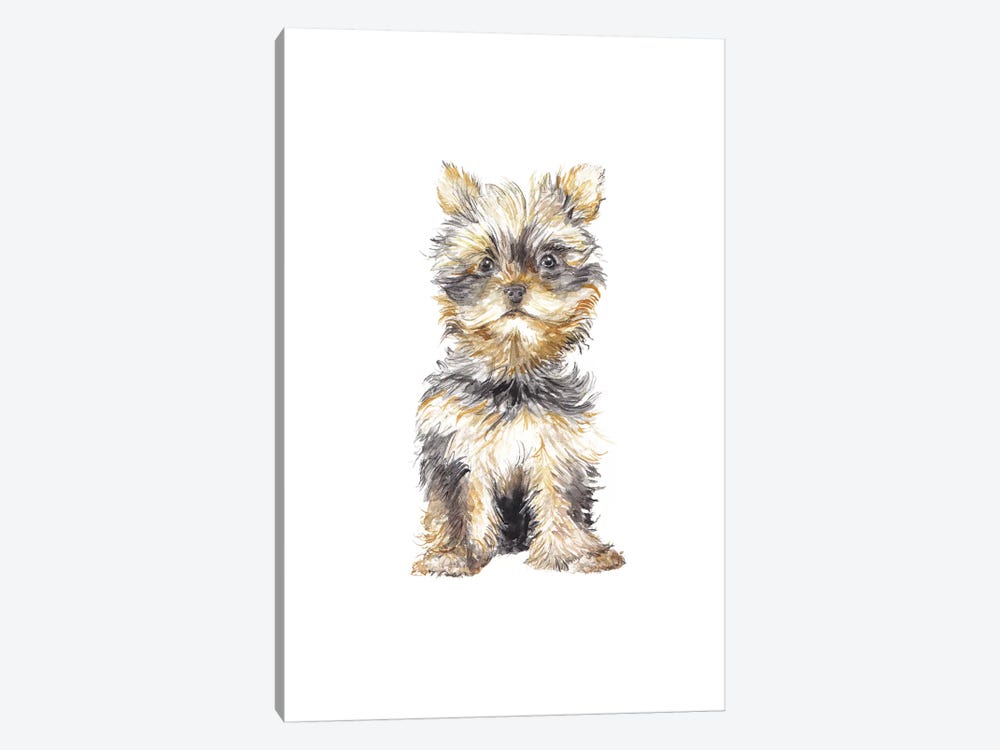 Yorkshire Terrier by Wandering Laur 1-piece Canvas Print