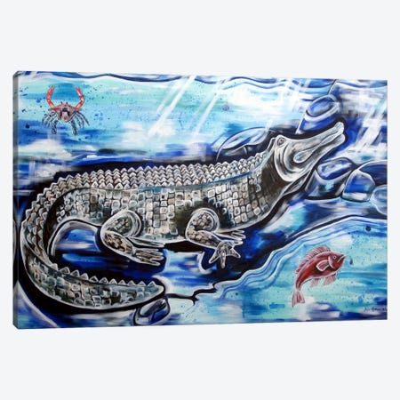 Swimming White Alligator Canvas Print #RGM123} by MC Romaguera Art Print