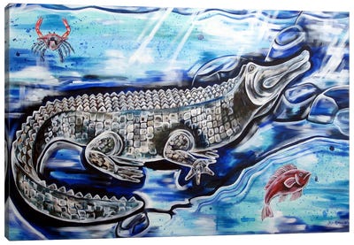 Swimming White Alligator Canvas Art Print - Crocodile & Alligator Art