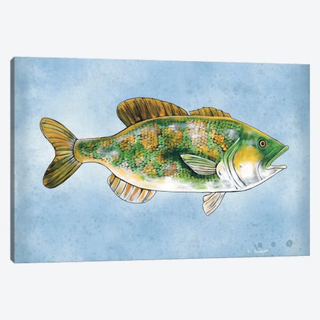 Bass Swimming Canvas Print #RGM160} by MC Romaguera Canvas Print