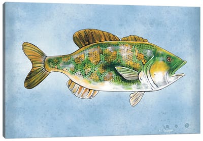 Bass Swimming Canvas Art Print - Bass Art